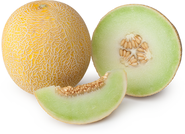 GALIA MELON