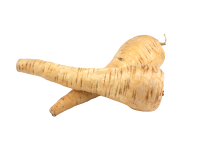 PARSNIP