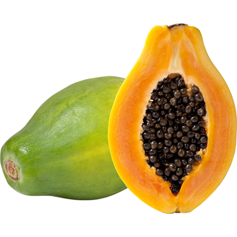 PAPAYA