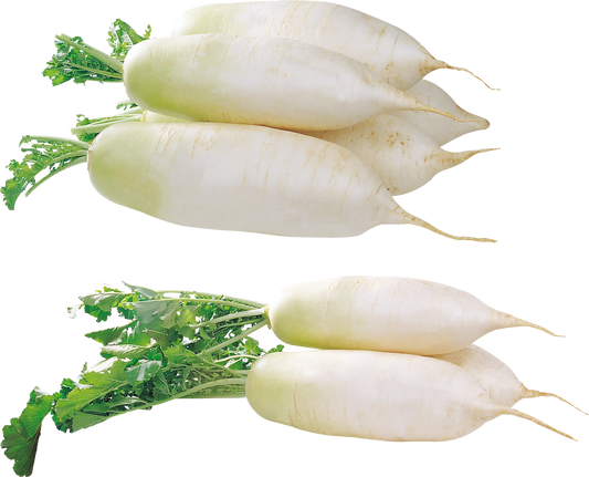 HORSERADISH