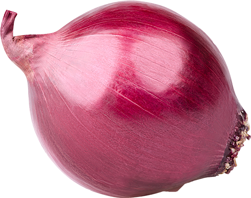 RED ONION