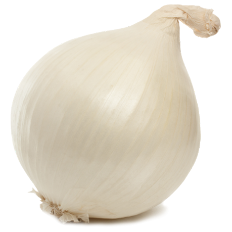 WHITE ONION